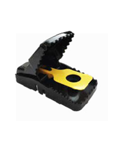 TAPETTE - PIEGE A ASSOMMOIR...