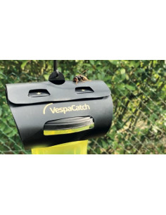 Piège contre les frelons...