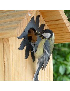 NidNidCool nichoir pour... 2