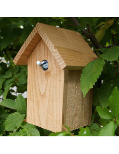 NidnidDou nichoir pour...