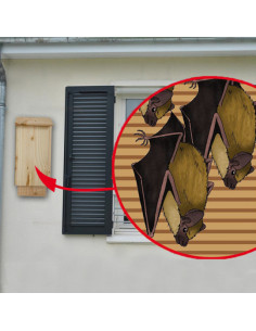 Refuge pour chauve souris 2