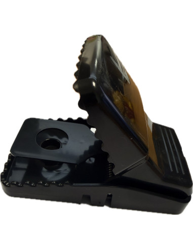 Tapette à Rat Professionnelle REARM®...