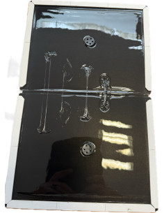 Plaques de Glue "GLUDUO"... 2