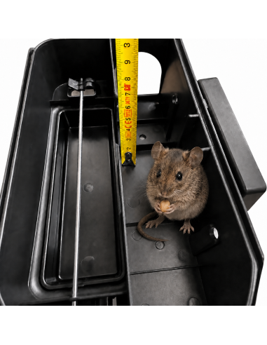 station d’appâtage CORAL rat et souris